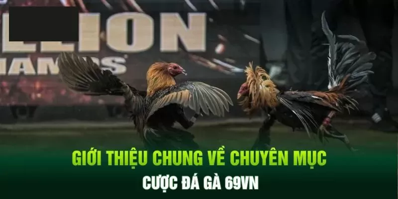 Giới thiệu đá gà 69VN