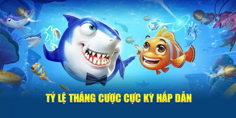 Tỷ lệ thắng cực kỳ hấp dẫn  